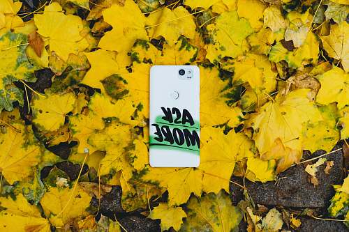 phone case white smartphone on yellow maple leaves brooklyn heights